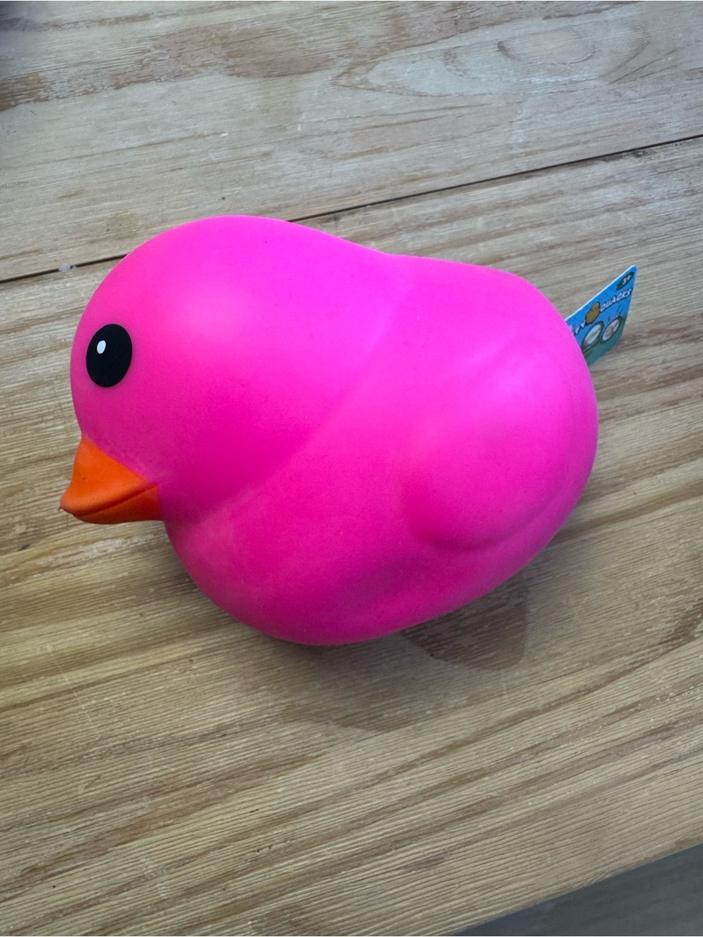Pink Rubber Duck Bird Toy - Bright Pink Squish Toy